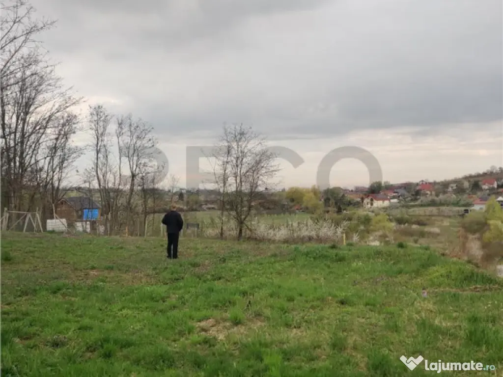 RECO . TEREN INTRAVILAN PALEU 