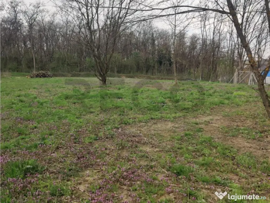 RECO . TEREN INTRAVILAN PALEU 