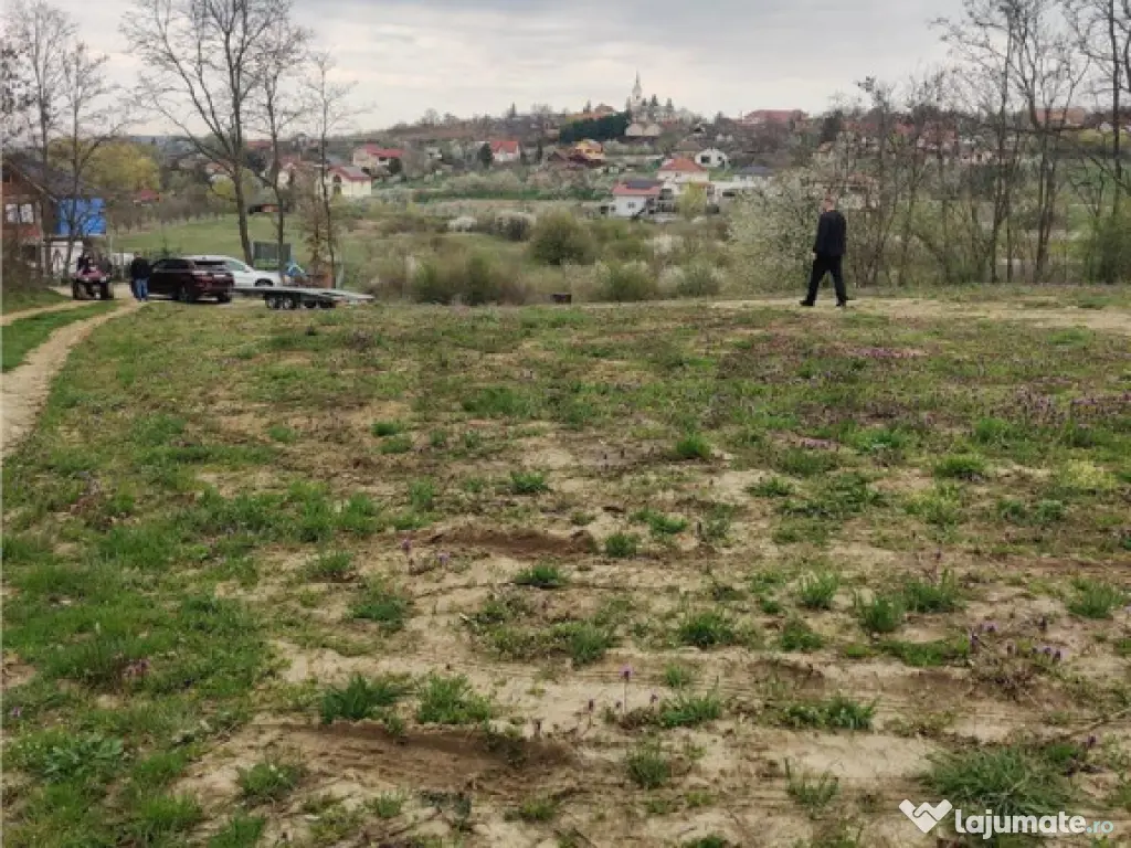 RECO . TEREN INTRAVILAN PALEU 