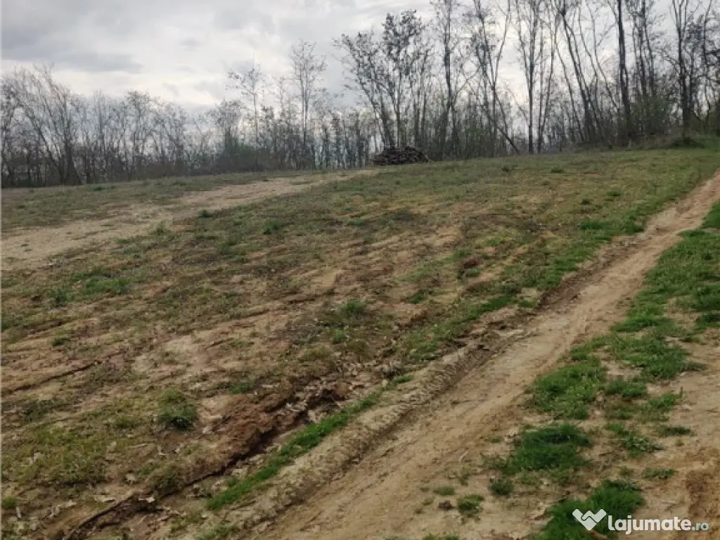 RECO . TEREN INTRAVILAN PALEU 