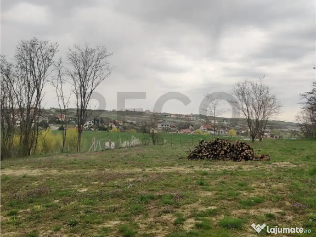 RECO . TEREN INTRAVILAN PALEU 