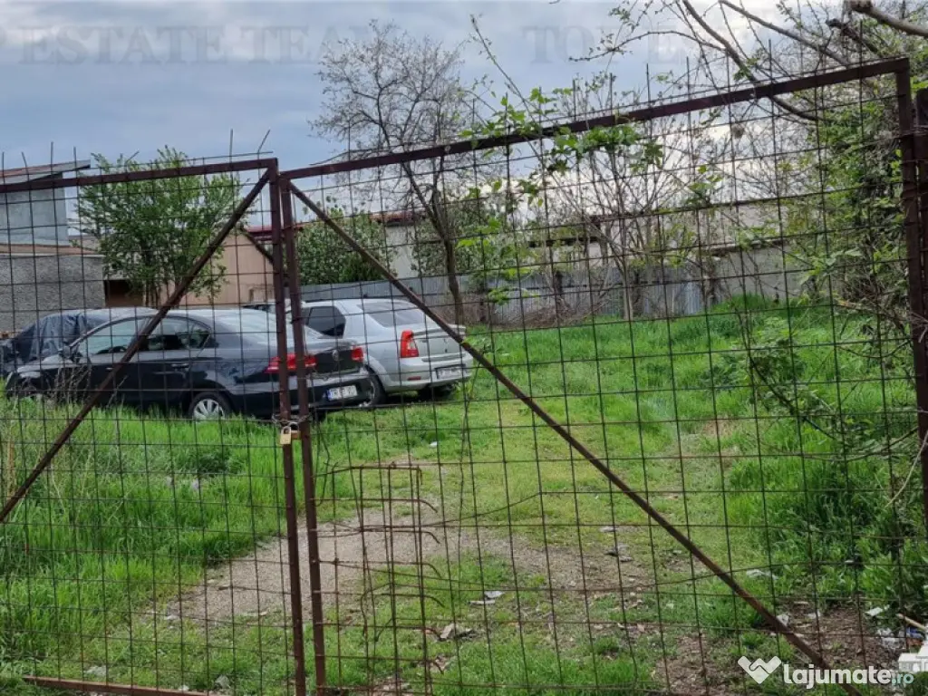 Teren Intravailan de (tei toboc) 