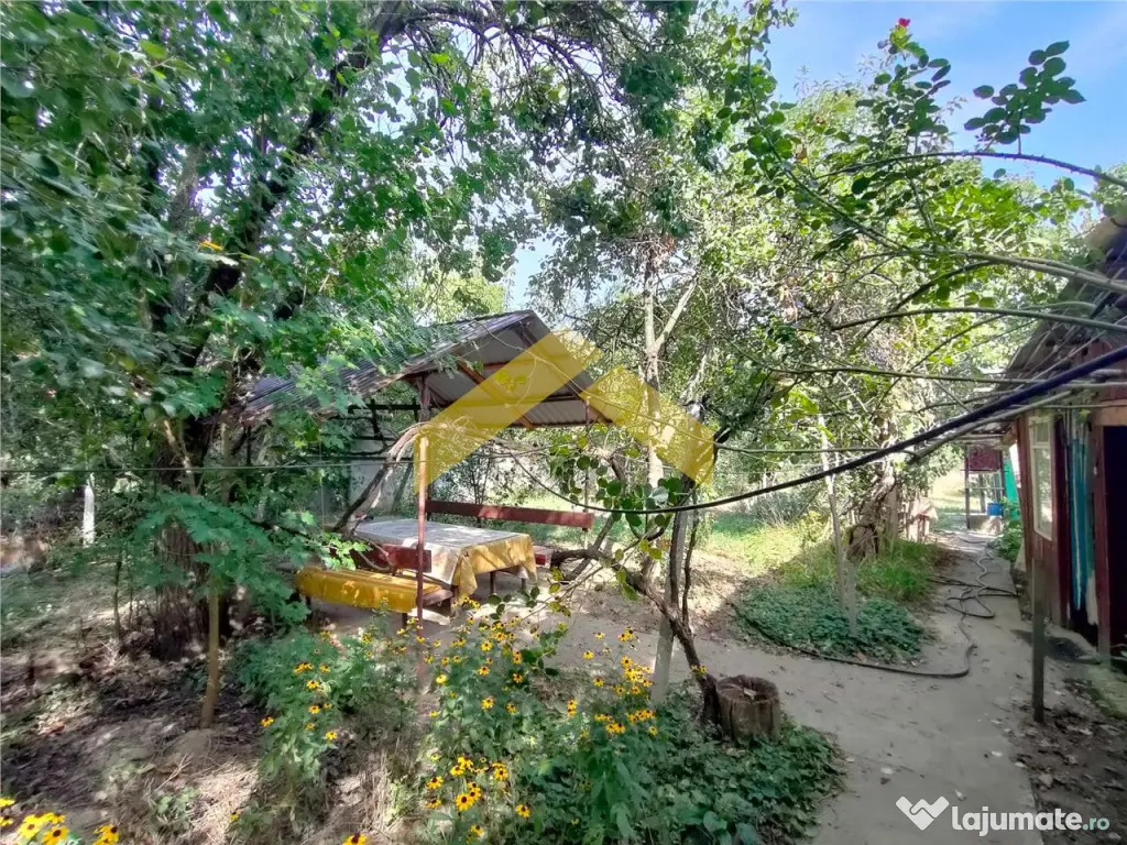 Casa de in Bodrogu Vechi