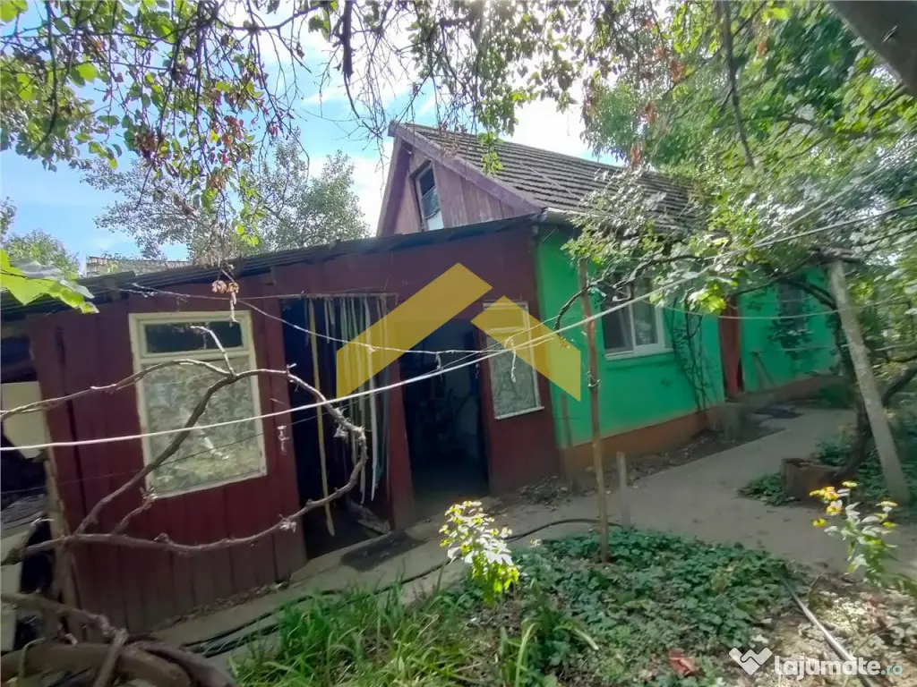 Casa de in Bodrogu Vechi