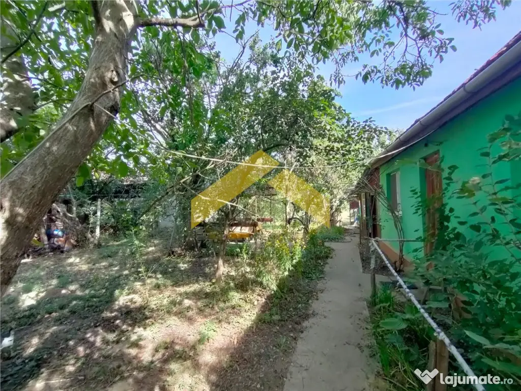 Casa de in Bodrogu Vechi