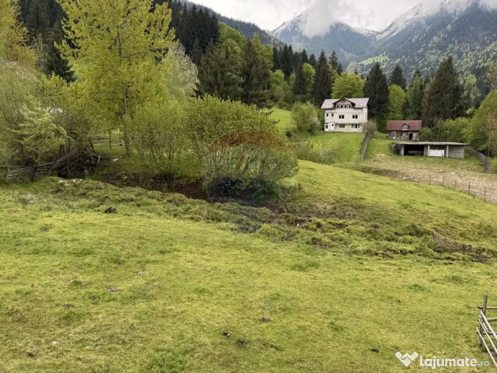 BORSA jud MARAMURES TEREN INTRAVILAN pentru CABANA 