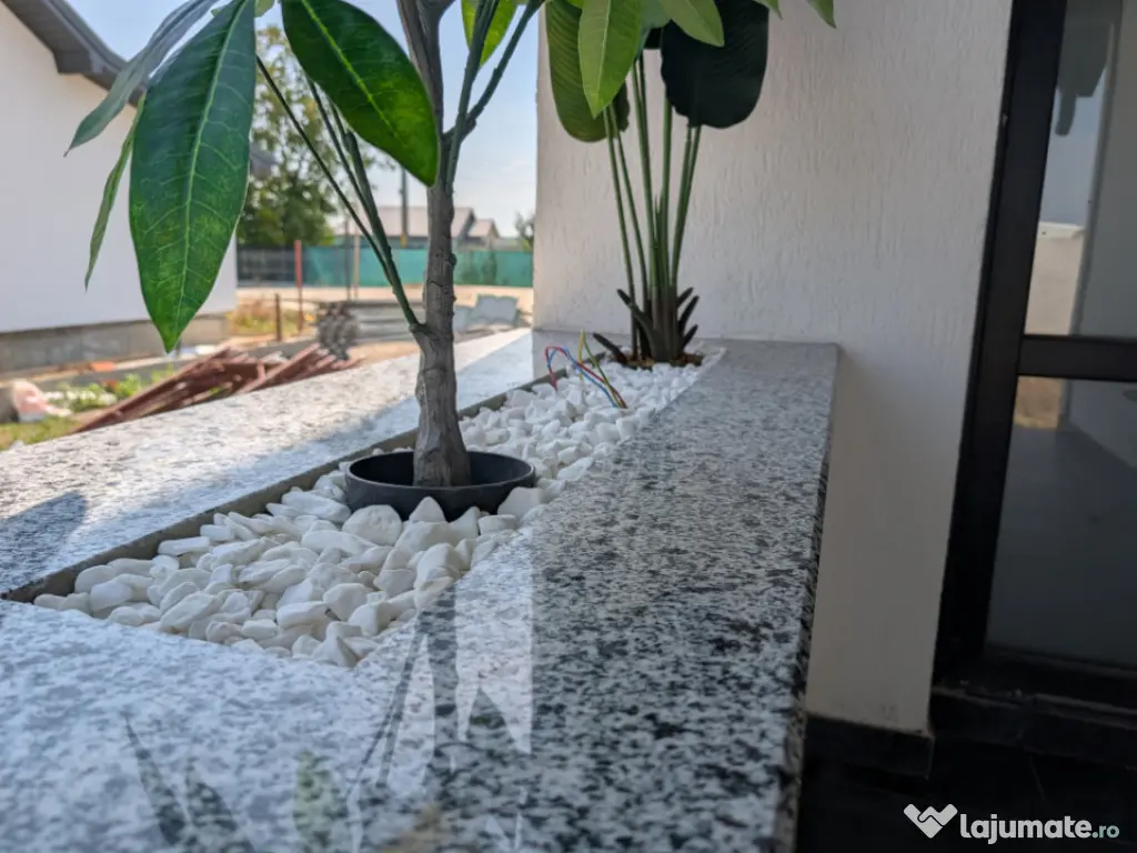 Casa nou 2025 Letea Veche 