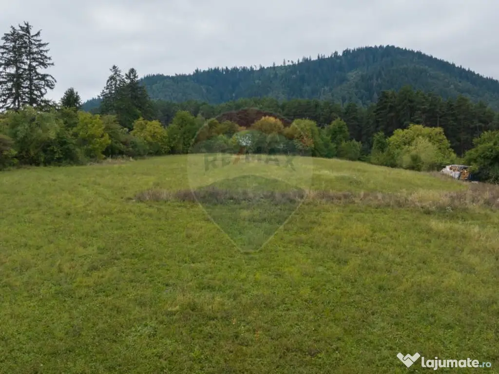 Proiect autorizat (AC) pentru constructia a 4 vile indivi... 