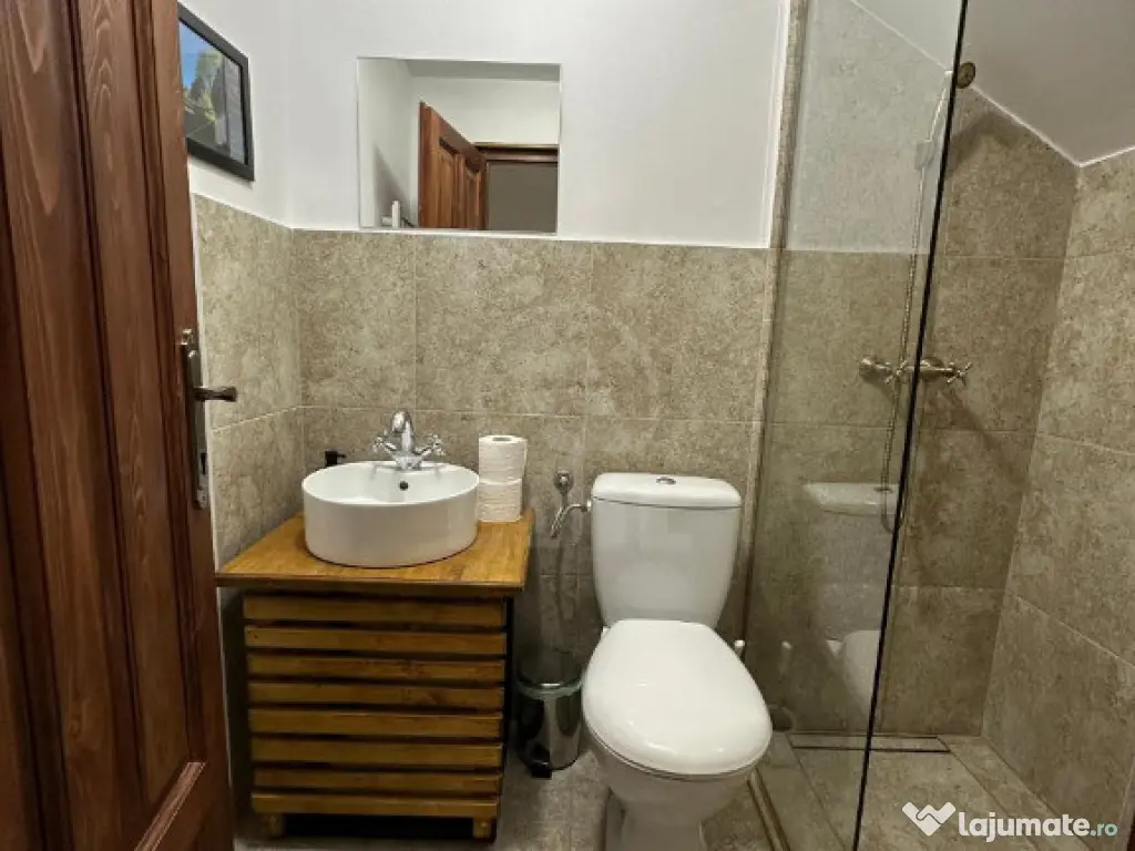 Vânzare Cabana Afacere la Cheie – 21 Locuri de Cazare, Băișoara 