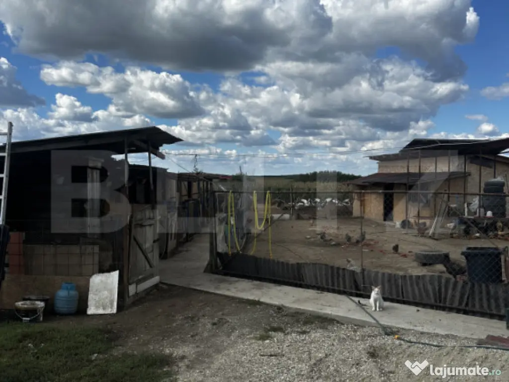 Casa de vanzare, 265 mp, zona Boghis