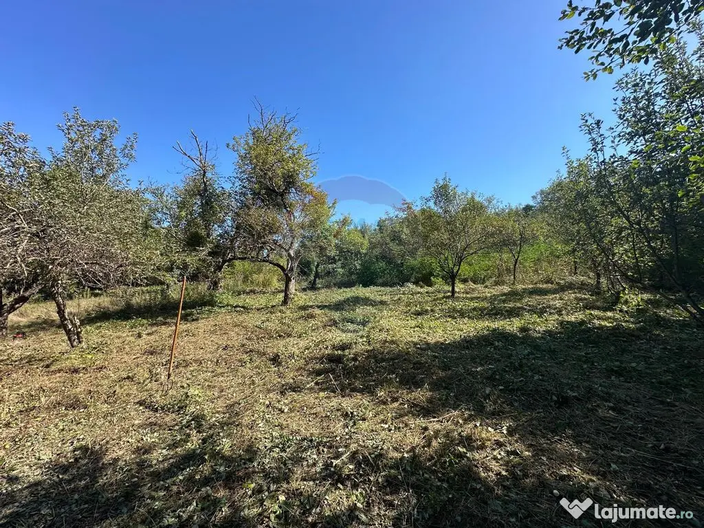 TEREN intravilan cu potential 