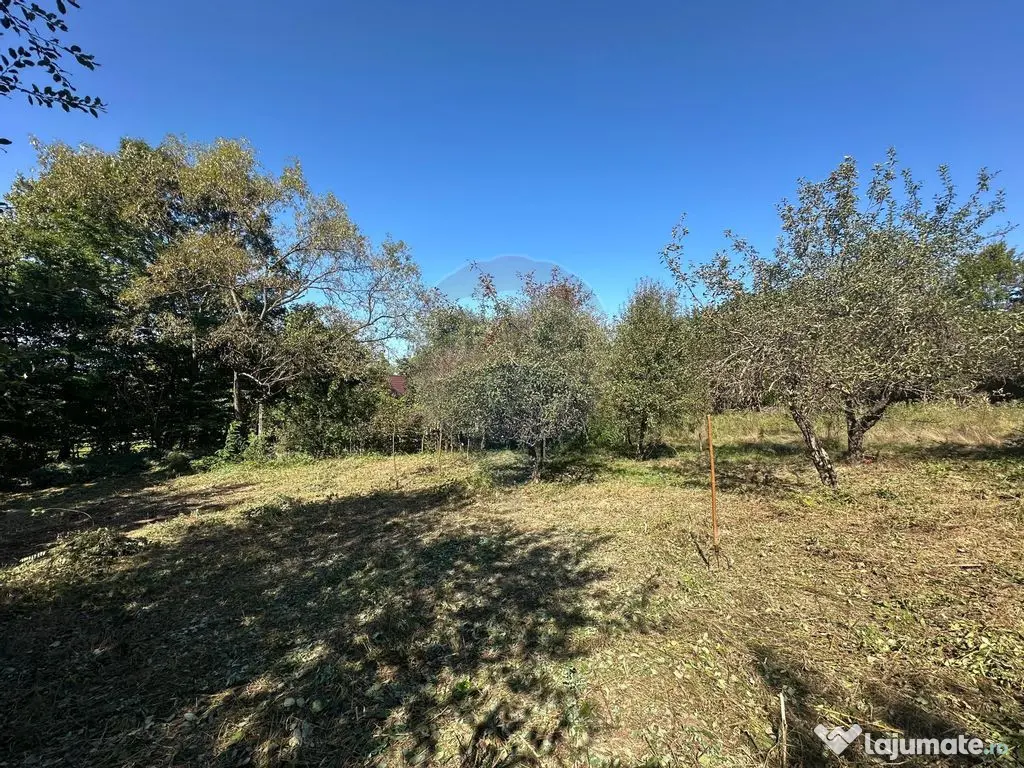 TEREN intravilan cu potential 