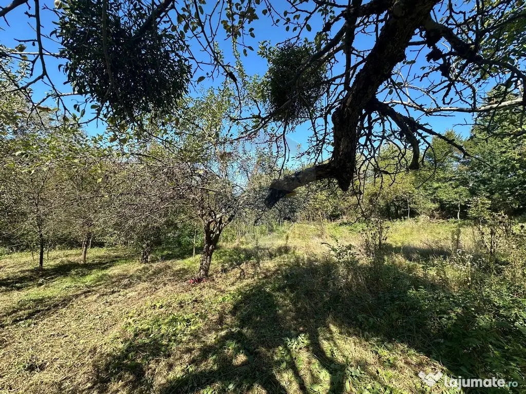 TEREN intravilan cu potential 