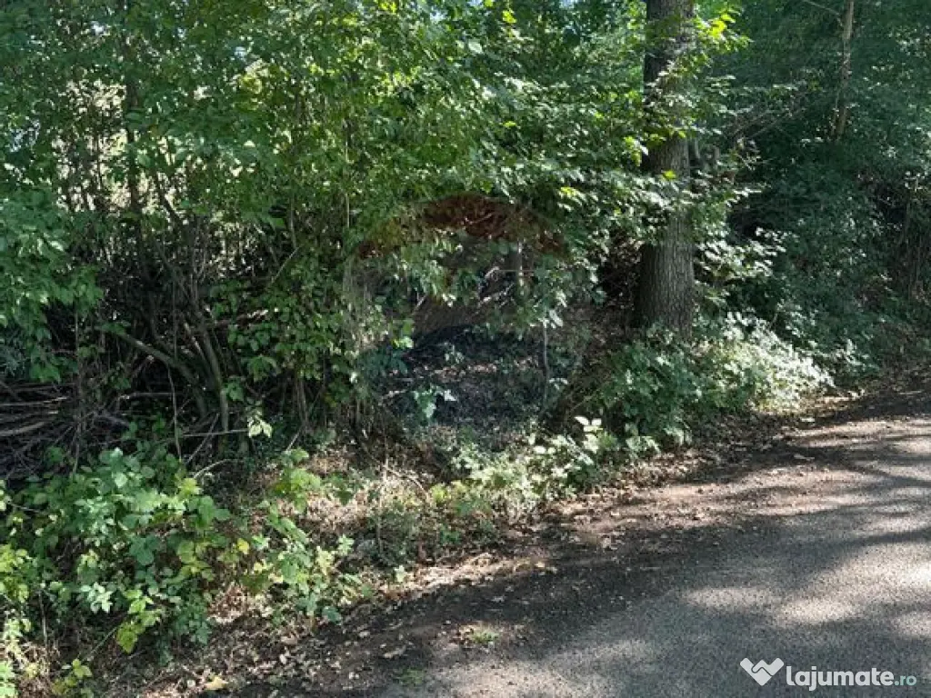 TEREN intravilan cu potential 