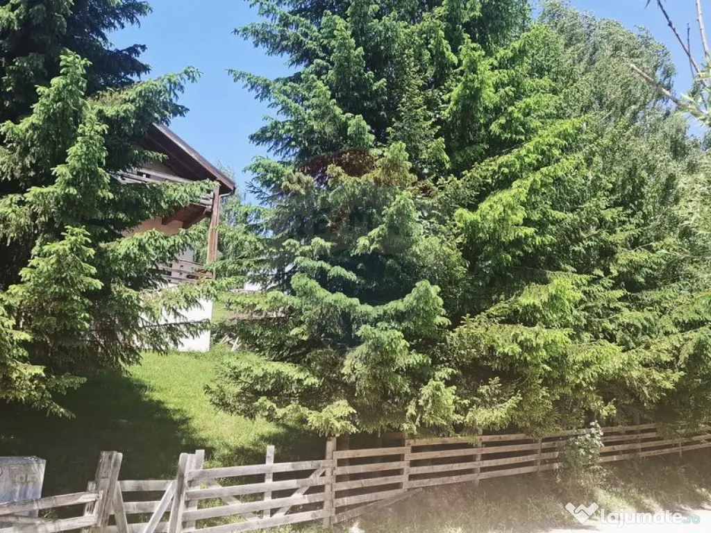 Casă de vacanță in Măgura, la poalele Munților Piatr... 