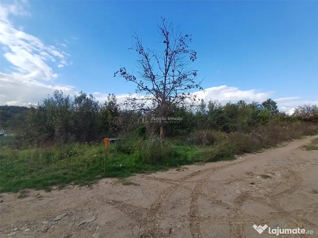 Resita, Teren Intravilan 2819 Mp., 16 Euro/Mp., Calea Carans 