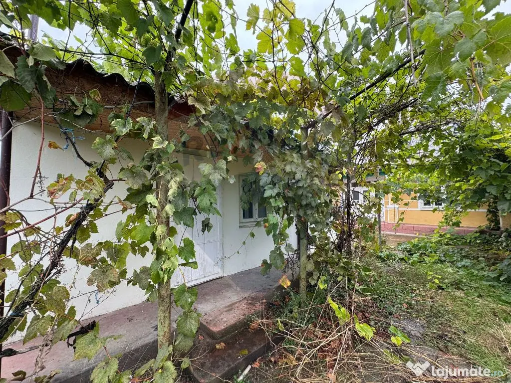 Casă / Vilă cu 3 camere în Răchitosu