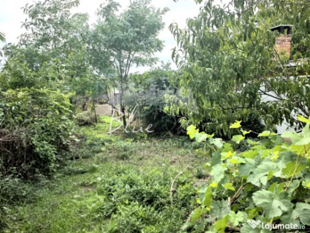 Casa 3 camere situata in Valul lui Traian, Str. Calea Dobrog 