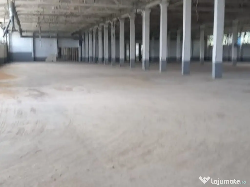 Activ de vanzare la 10 Km de Municipiul Braila ,3 Km de Dunare 