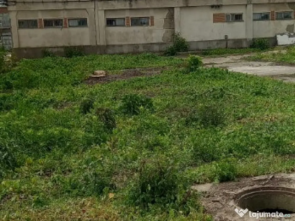 Activ de vanzare la 10 Km de Municipiul Braila ,3 Km de Dunare 