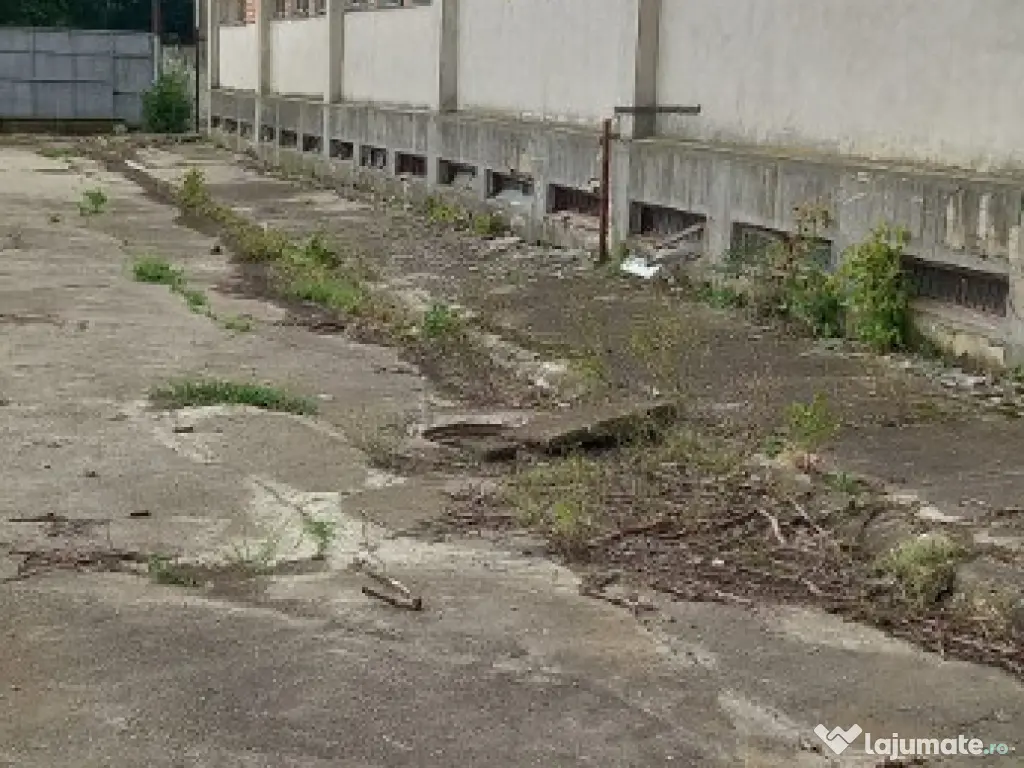 Activ de vanzare la 10 Km de Municipiul Braila ,3 Km de Dunare 