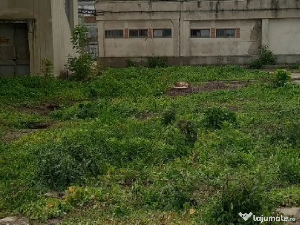 Activ de vanzare la 10 Km de Municipiul Braila ,3 Km de Dunare 