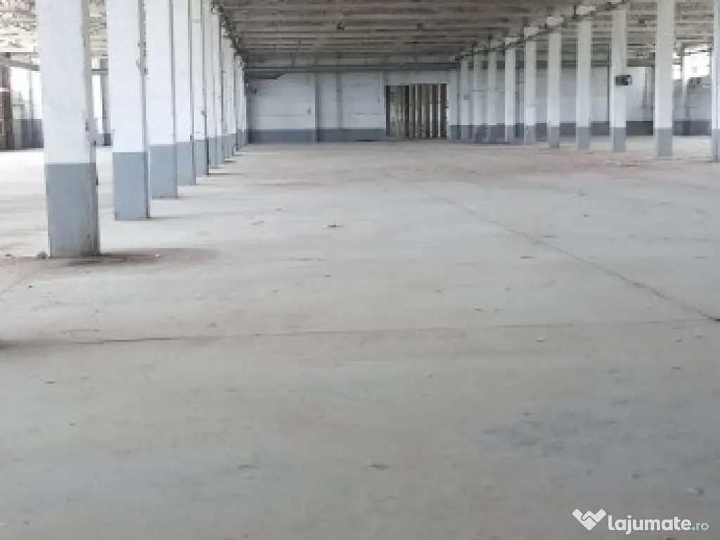 Activ de vanzare la 10 Km de Municipiul Braila ,3 Km de Dunare 