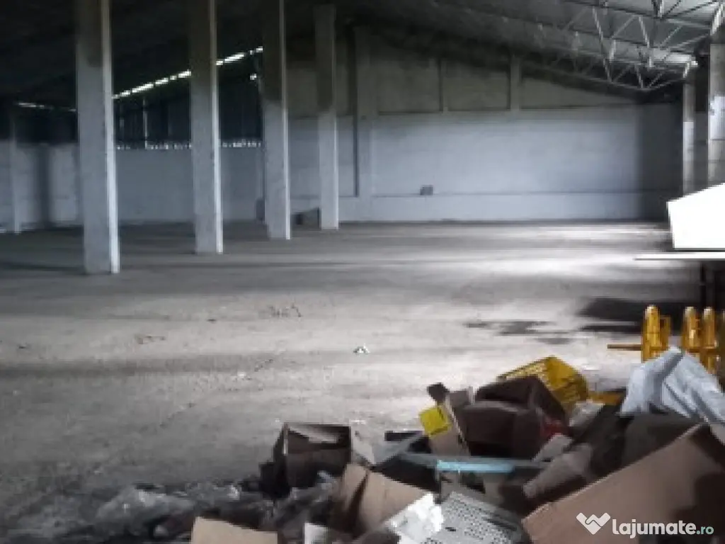 Activ de vanzare la 10 Km de Municipiul Braila ,3 Km de Dunare 