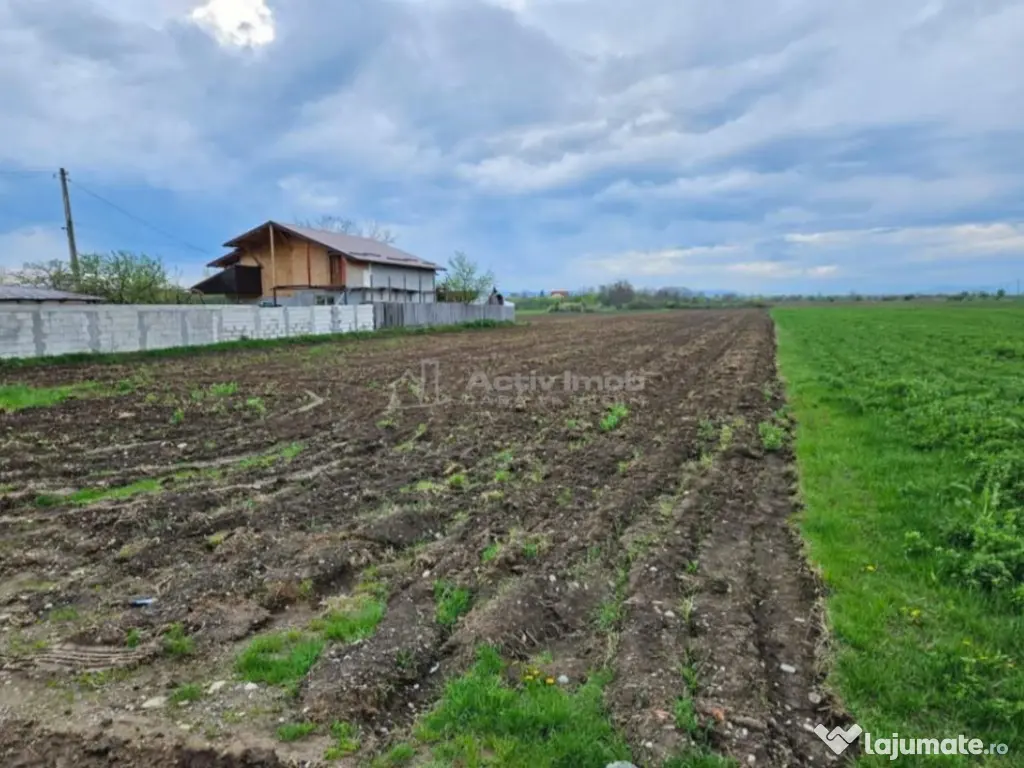 Teren pretabil mic cartier rezidential in apropiere de Ploie 