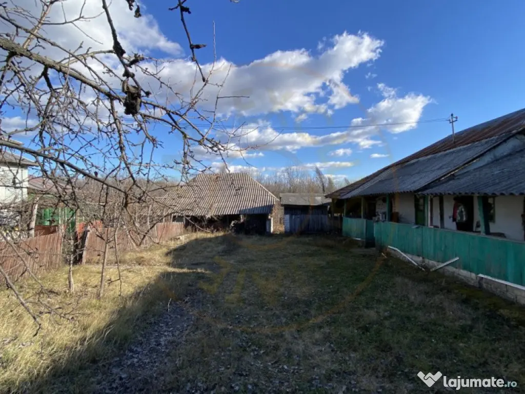 Casa traditionala argeseana – comuna Vedea, jud. Arges 