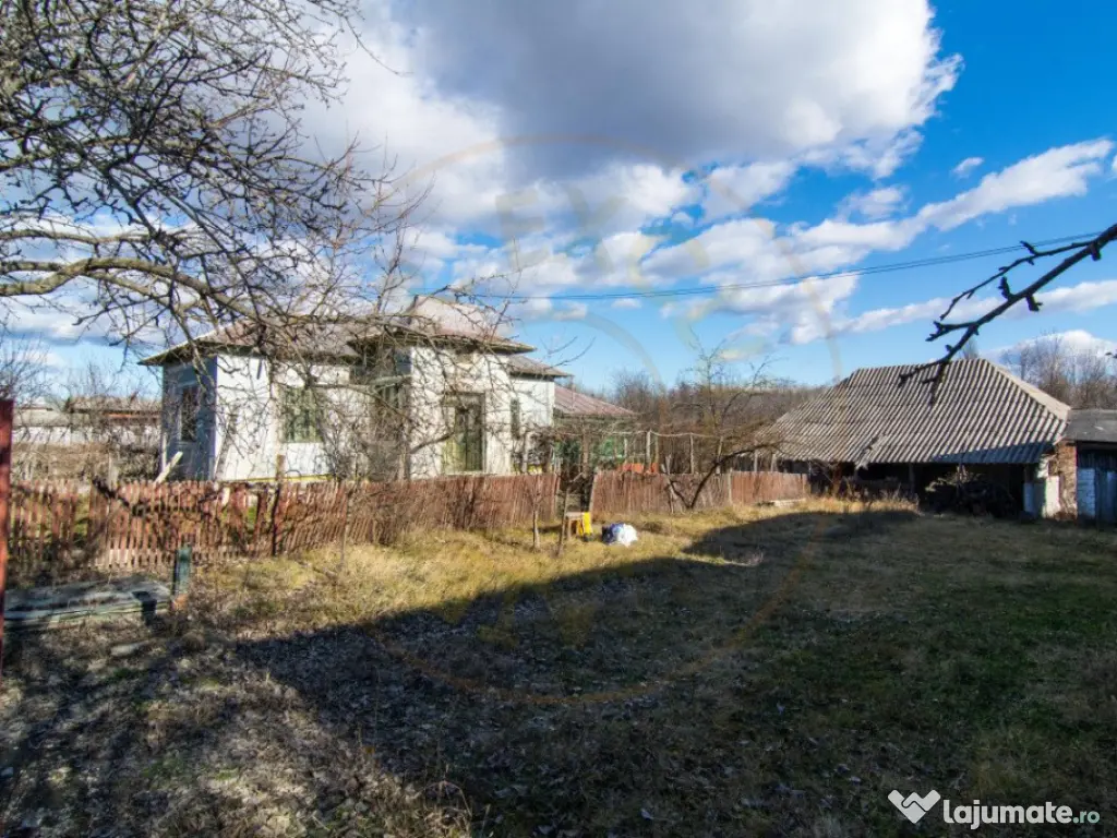 Casa traditionala argeseana – comuna Vedea, jud. Arges 