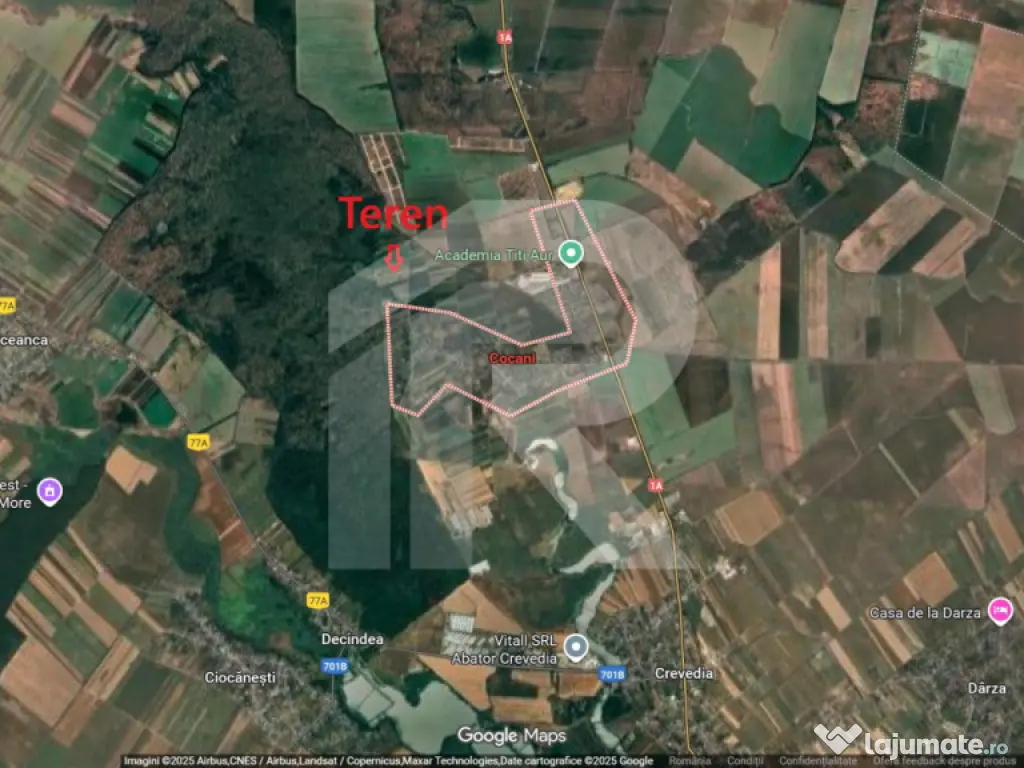 Refugiu la marginea padurii — 1000 mp de liniste in Cocani 