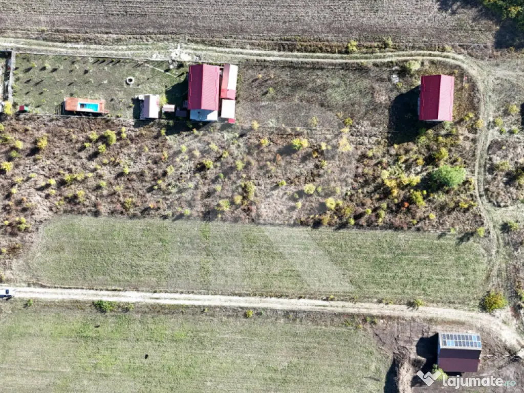 Refugiu la marginea padurii — 1000 mp de liniste in Cocani 