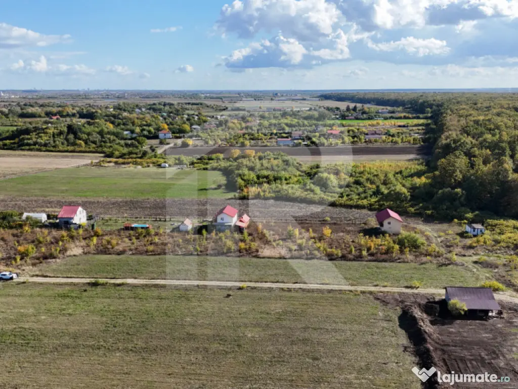 Refugiu la marginea padurii — 1000 mp de liniste in Cocani 