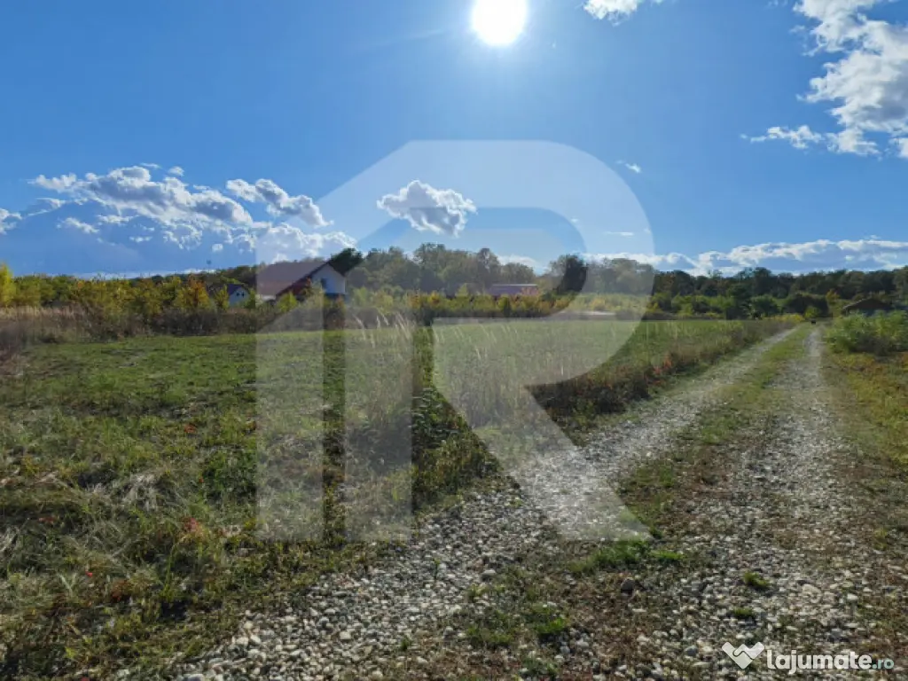 Refugiu la marginea padurii — 1000 mp de liniste in Cocani 