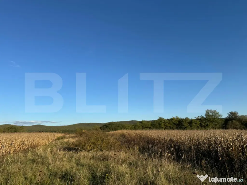 Teren extrvilan 1400mp in Branisca