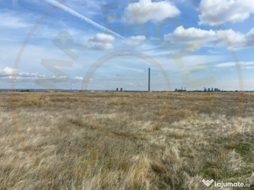 Teren 10000 mp - Albota Papillon, zona industriala in plina 