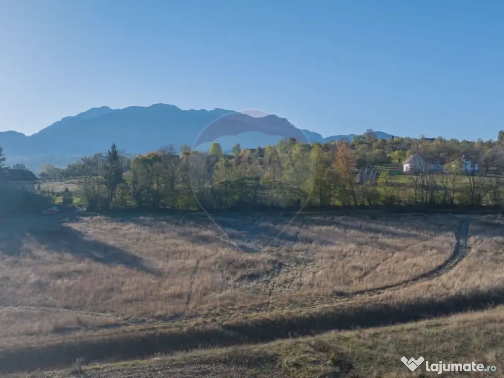 Comision 0% Teren de vânzare, zona Bran - Sohodol, 4000m... 