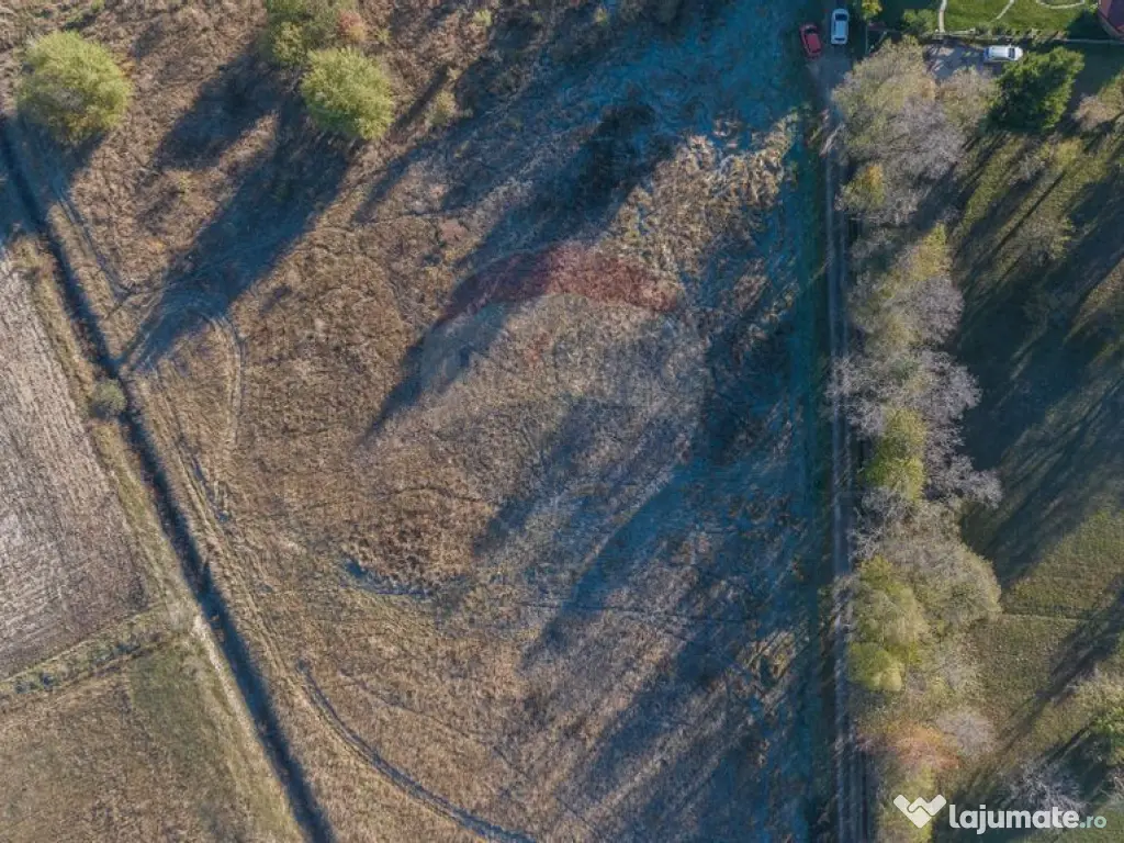 Comision 0% Teren de vânzare, zona Bran - Sohodol, 4000m... 