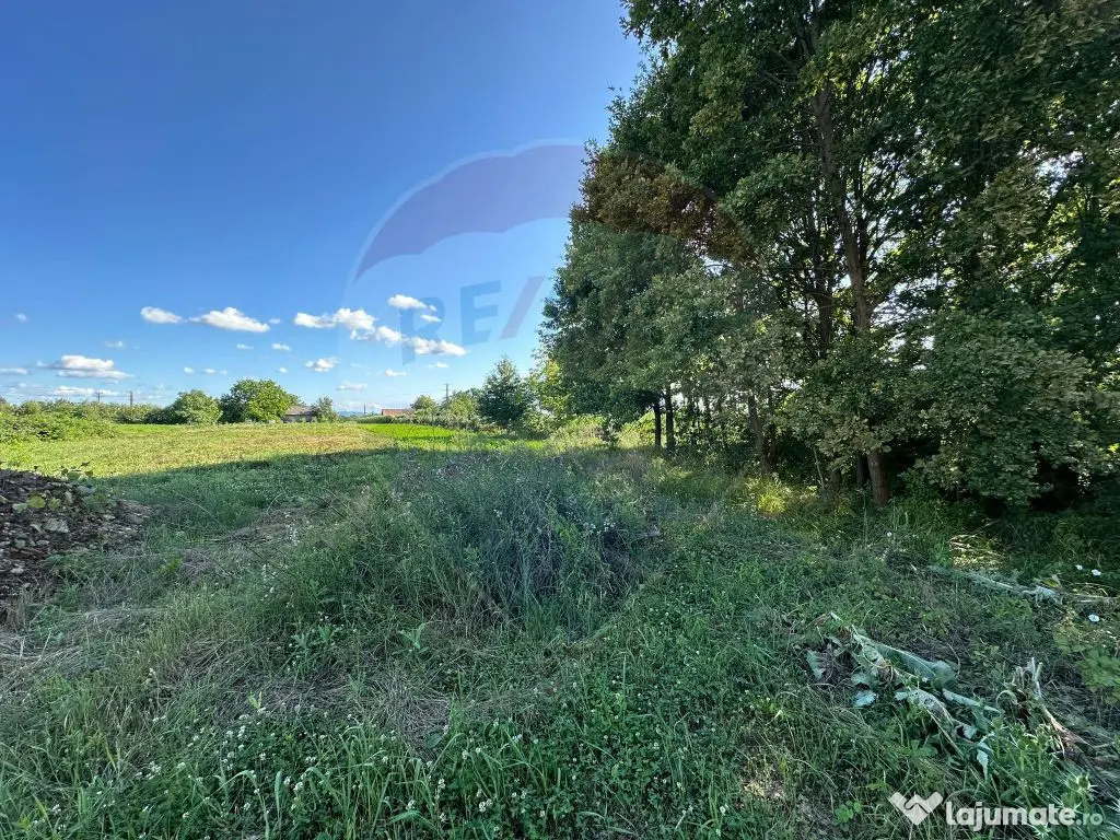 TEREN pentru "ACASA "- Bozanta Mica 