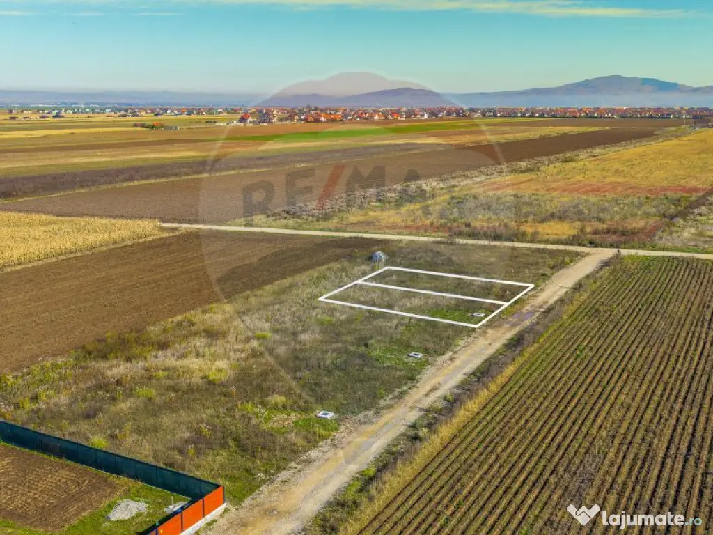 0% Comision | Teren 650 mp | Sacele, Str. Venus | Curent ... 