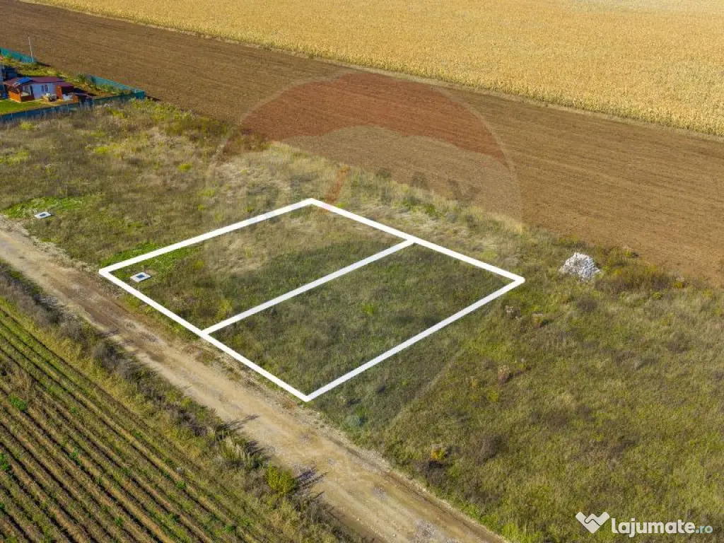 0% Comision | Teren 650 mp | Sacele, Str. Venus | Curent ... 