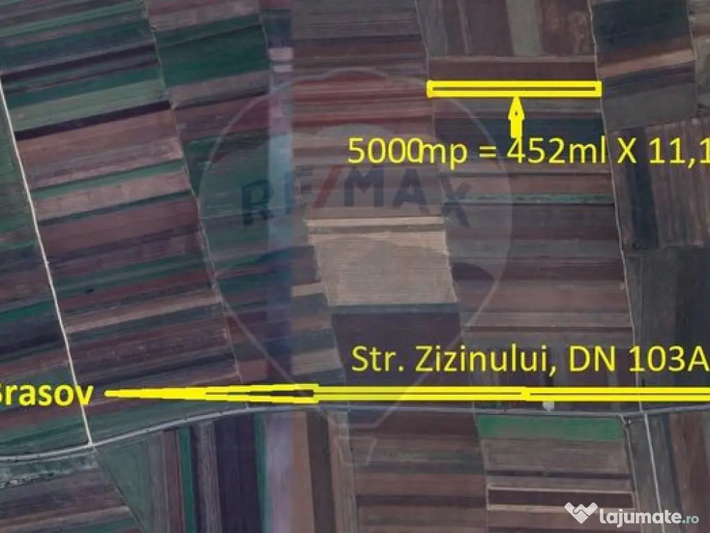 Teren Extravilan 5.000 mp Tarlungeni / Strada Zizinului