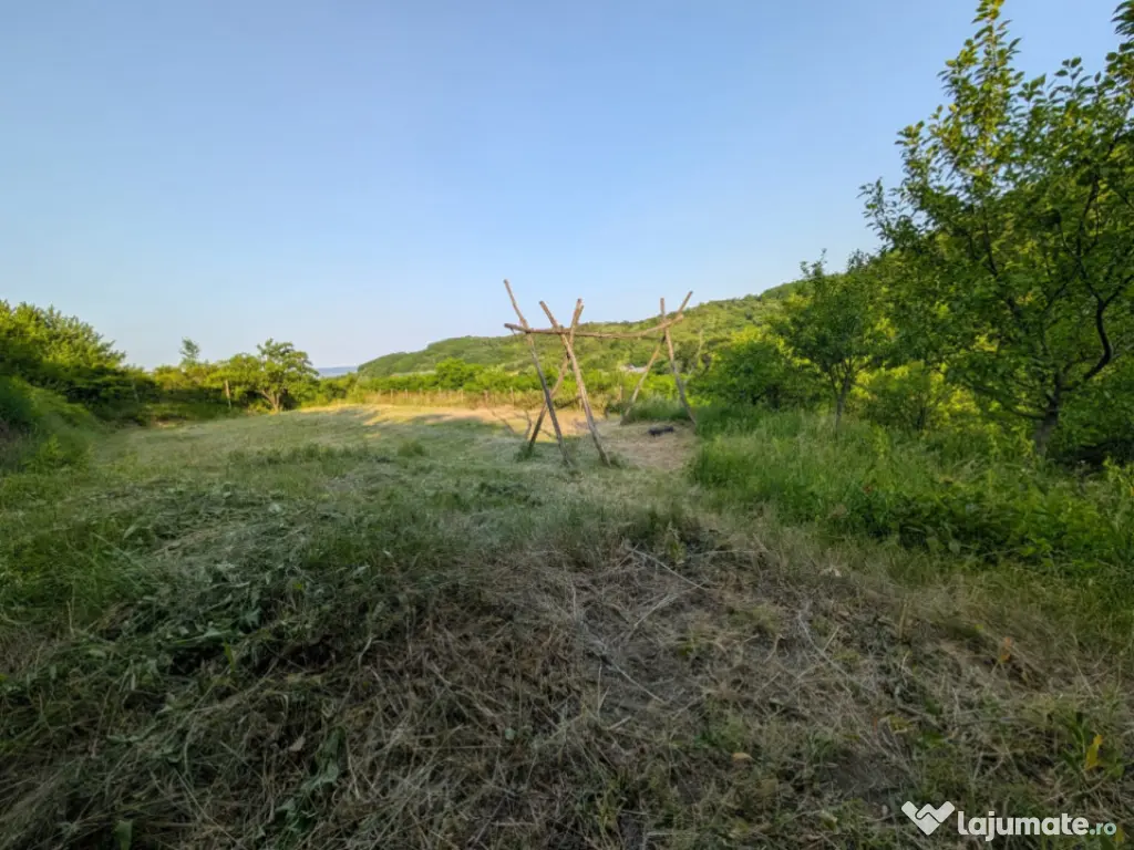 Sărata Băi- Oportunitate investiție- 4038 mp- priveliște 