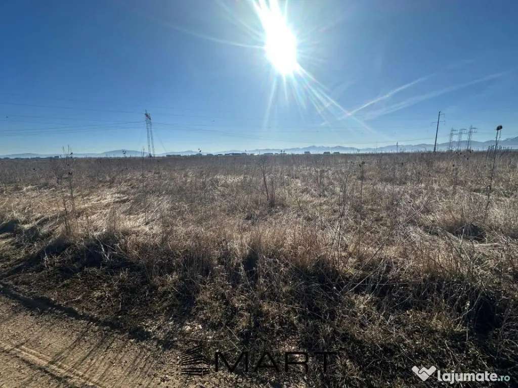 Teren Intravilan 540 mp Sanpetru