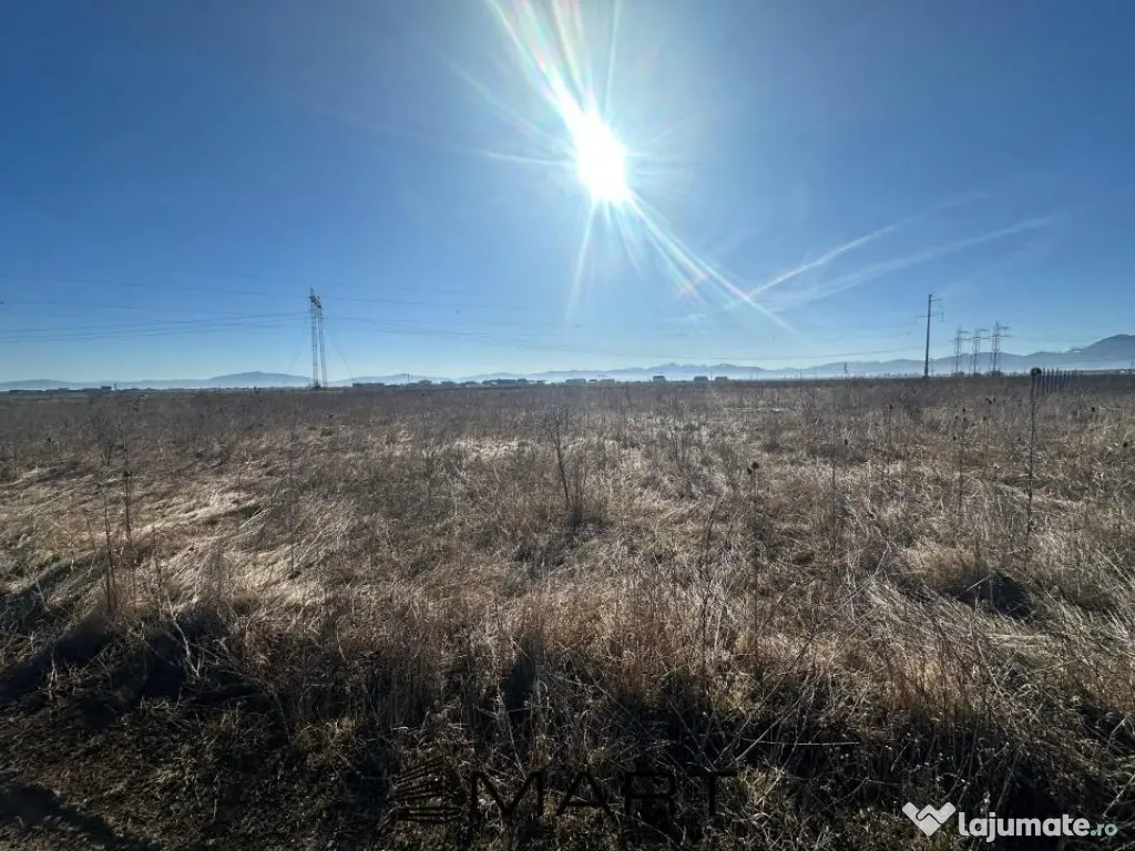 Teren Intravilan 540 mp Sanpetru