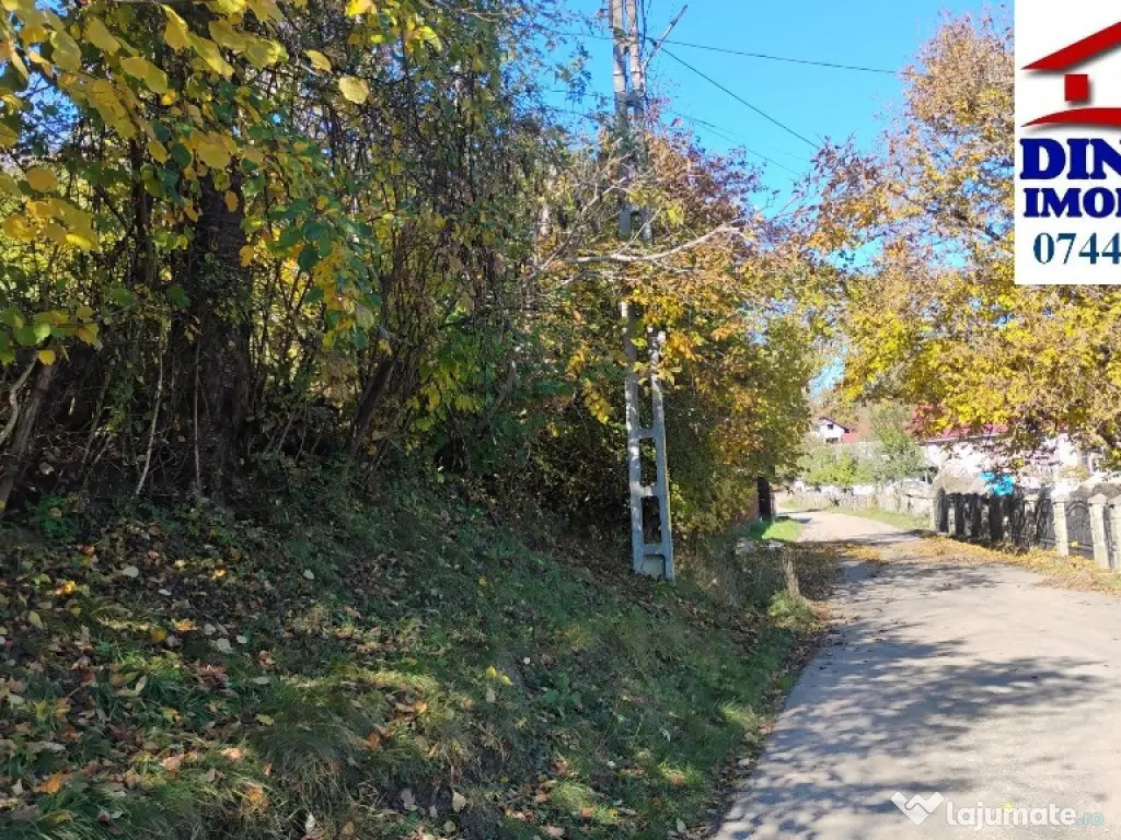 3600 mp teren intravilan, sat Bistrita, 12 Euro/mp 