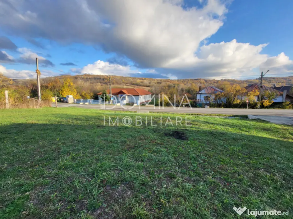 Teren 11.939 mp Bălănești – ideal rezidențial/comercia