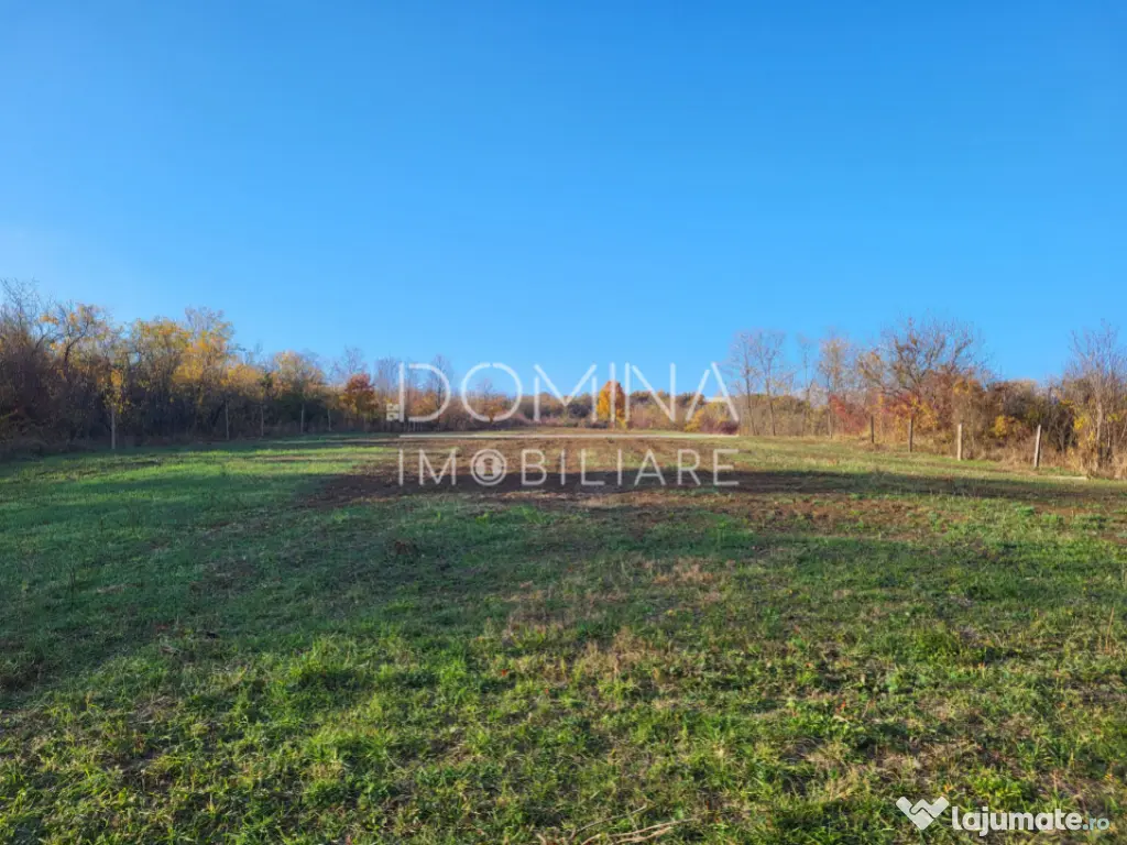 Teren 11.939 mp Bălănești – ideal rezidențial/comercia