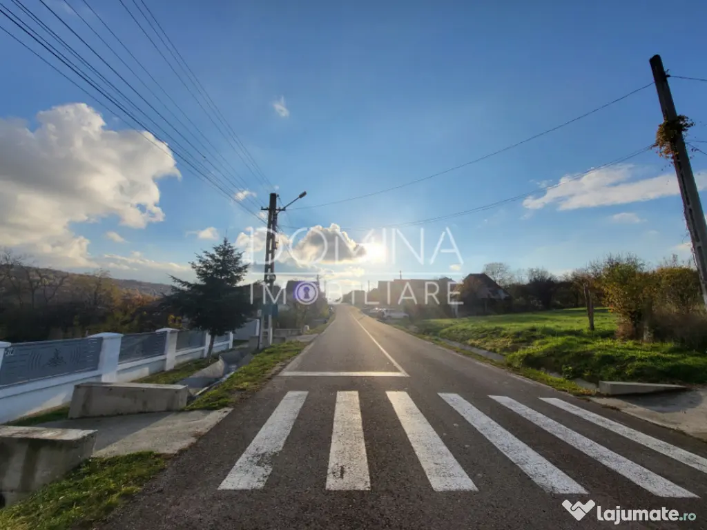 Teren 11.939 mp Bălănești – ideal rezidențial/comercia